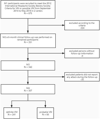 Severity and Its Contributing Factors in Patients With Vestibular Migraine: A Cohort Study